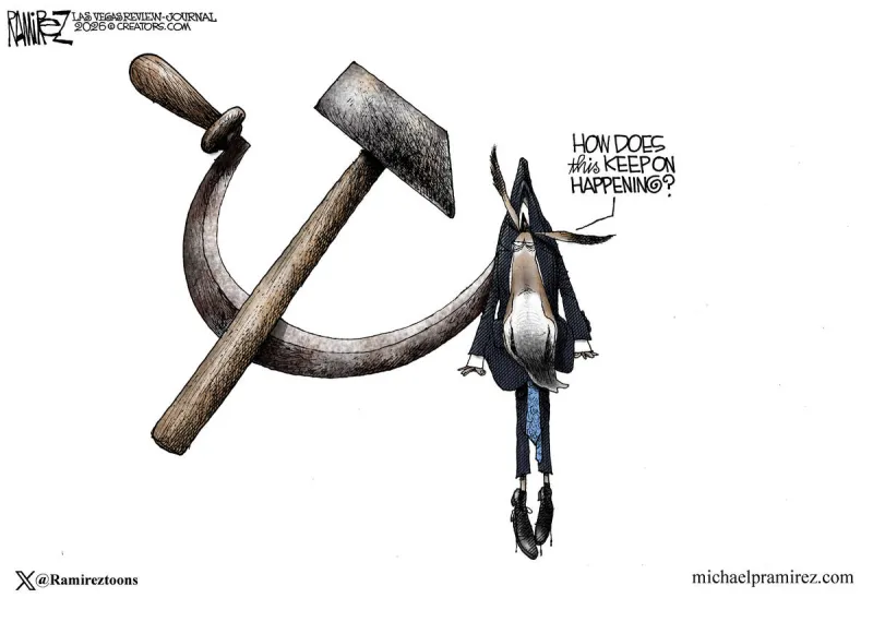 CARTOON: Democrats haven't solved this mystery