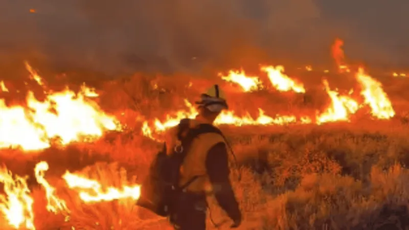 Bug and Fred Mountain fires merge along CA-Nevada border; combined blaze tops 44,000 acres