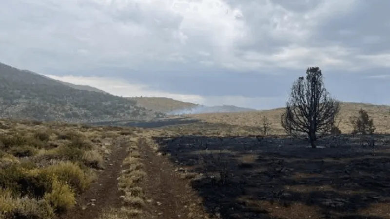 Eagle Fire reaches 151 acres, 20% contained; road closures remain near canyon roads