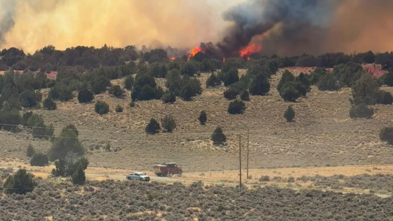 Firefighters gain ground on Bug and Stallion fires north of Reno as containment rises