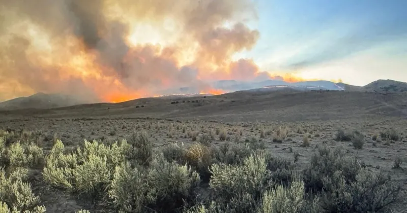 2,000-acre wildfire burns outside Austin, Nevada