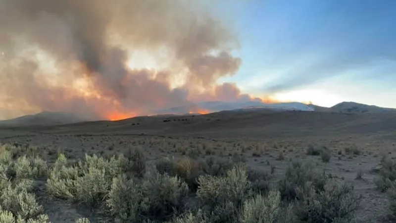 Firefighters battle lightning-caused Shoshone Fire 58 miles from Fallon