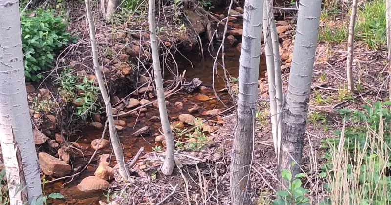 Jarbidge restricts outdoor watering as water supply diminishes