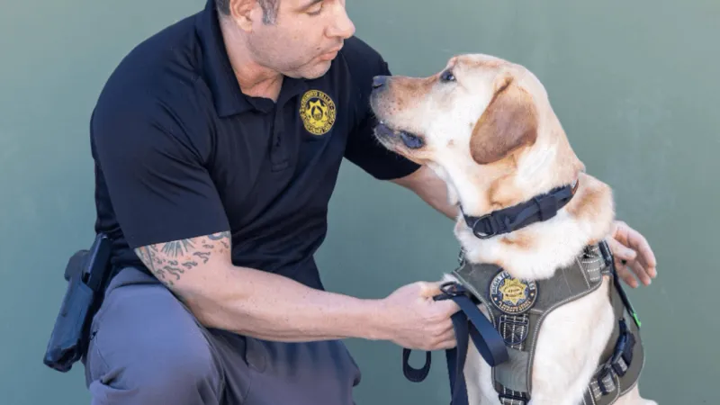 K9 Cooper to assist El Dorado County high-tech crimes searches for hidden electronics