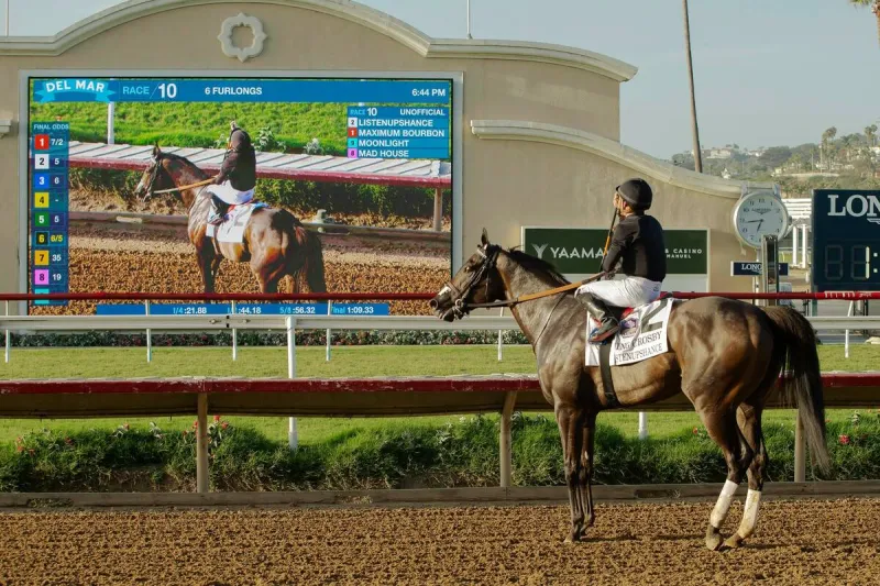 Pacific Classic Stakes: Predictions, picks for Breeders' Cup qualifier