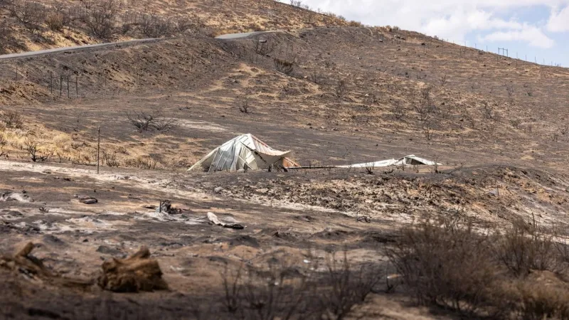 Firefighters hold strong presence as Bug, Stallion fires near Reno near full containment