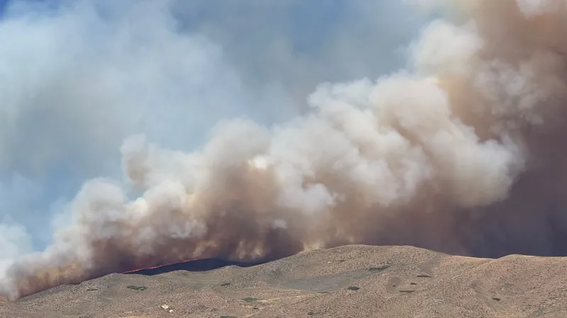 Nevada Gov. Lombardo declares emergency as Hawk Fire spreads in Washoe County