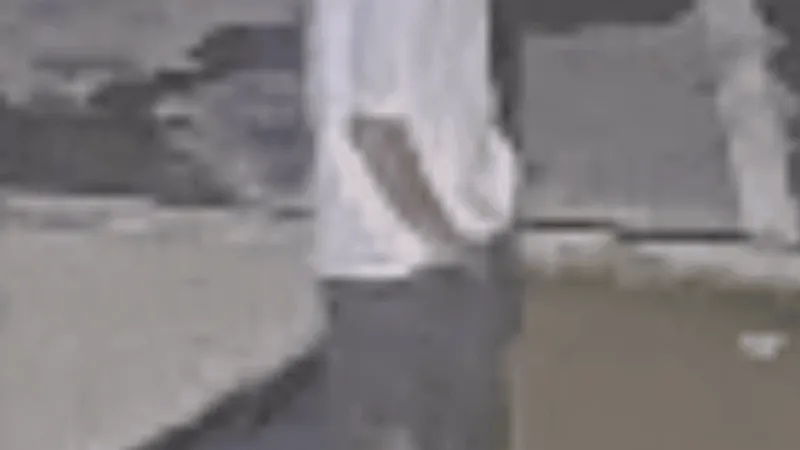 Carson Sheriff's office seeks public's help to identify suspect in Aquatic Center burglary