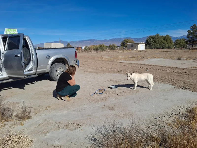 PHOTOS - Search Squad of Pahrump seeking community's assistance with transportation needs