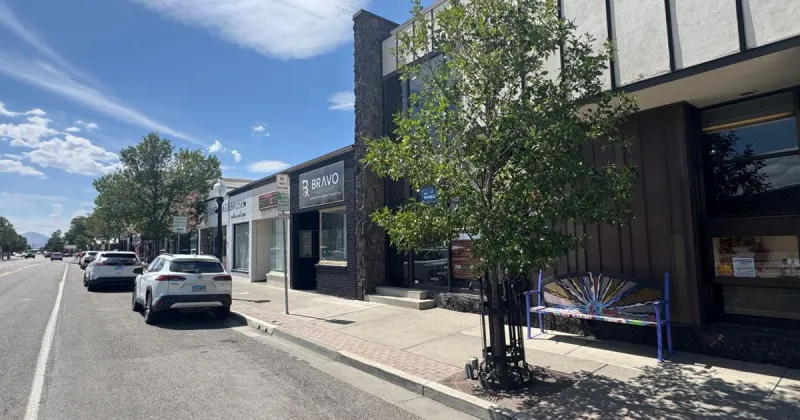 What kind of fees do Elko business owners have to pay?