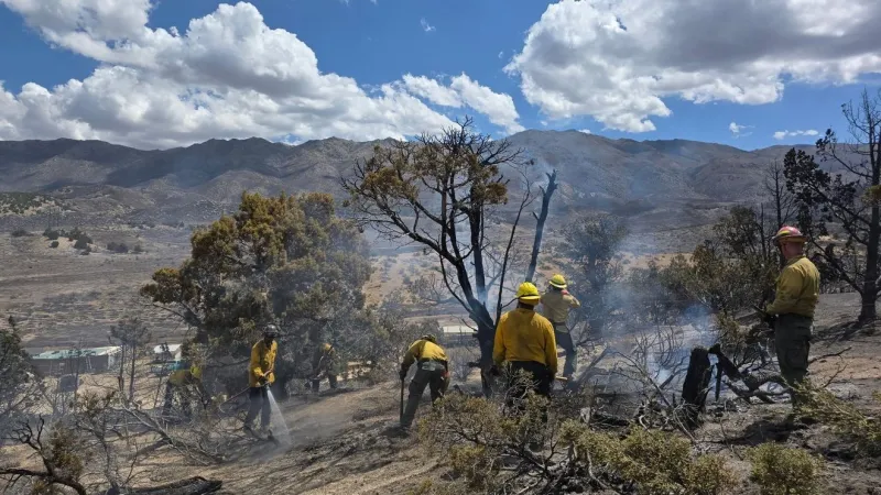 Bug and Stallion Fires almost fully contained, restoration underway by local agencies