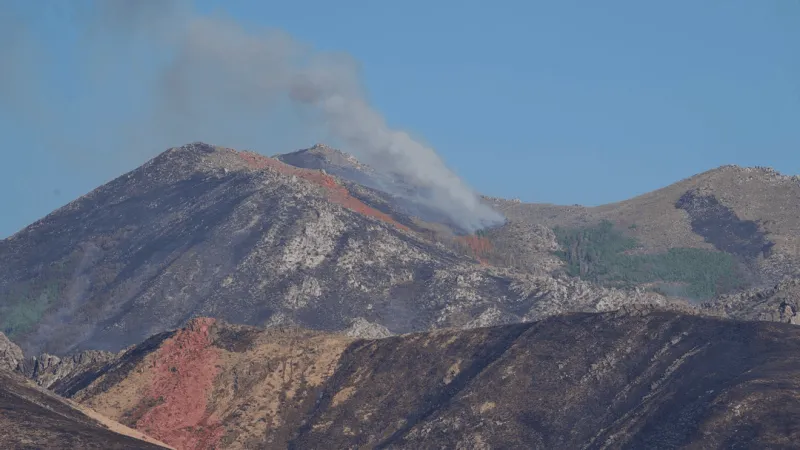 Lightning-sparked McConnell Fire in northeast Nevada burns over 32,000 acres