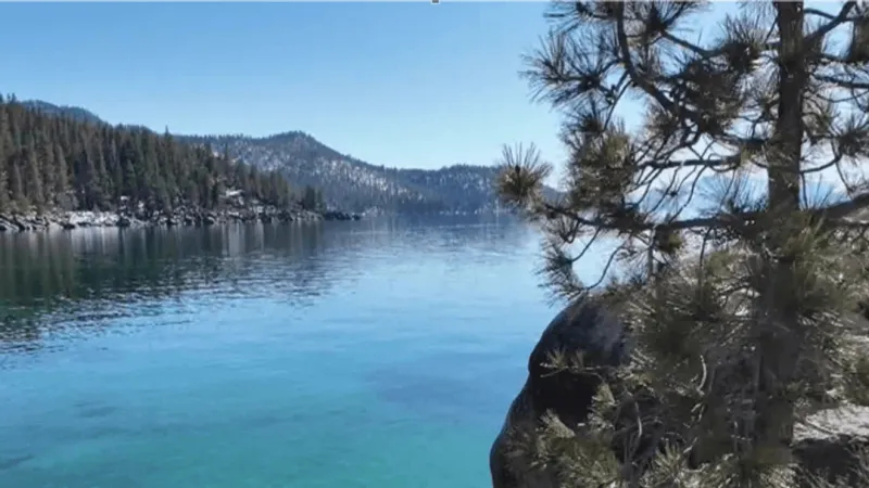 VOTE: Are you concerned about wildlife attacks at Lake Tahoe?