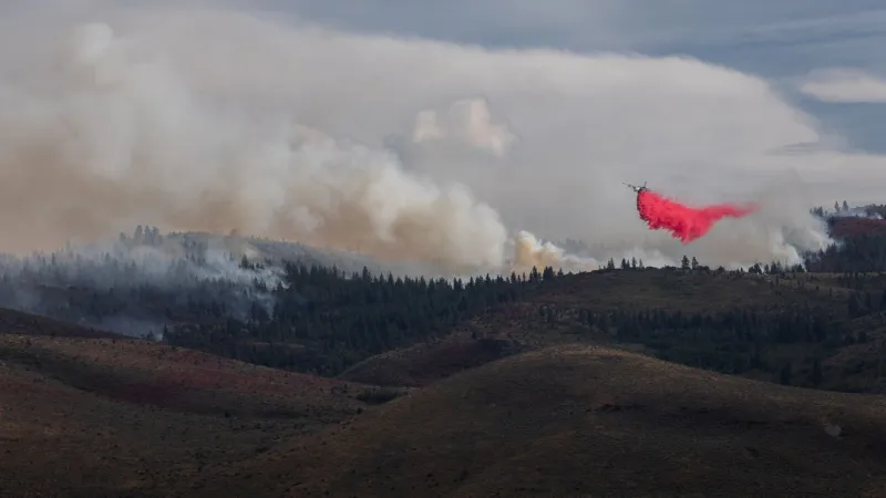 Trump signs emergency declaration for Hawk Fire assistance in Nevada