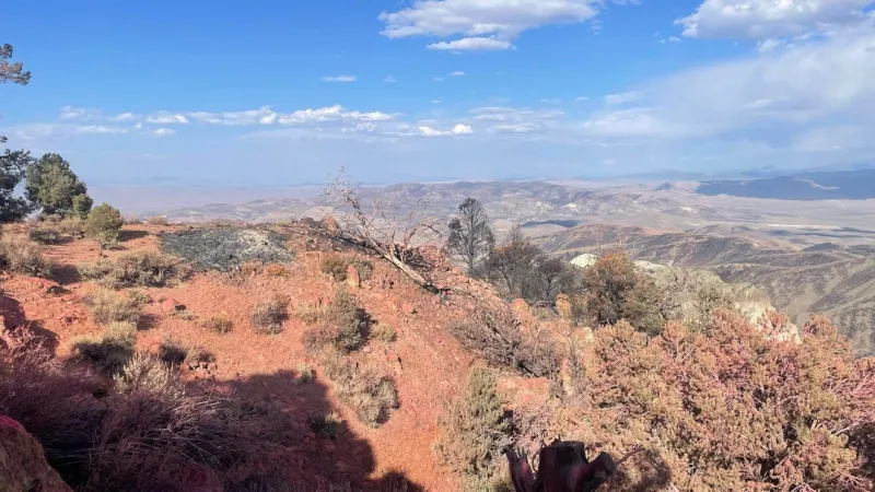 Blue Eagle Fire near Austin holds at 9,218 acres, now 90% contained