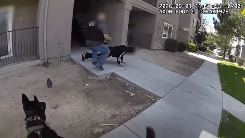 Reno police arrest 2 after overnight spree of stolen vehicles, burglaries and hit-and-run