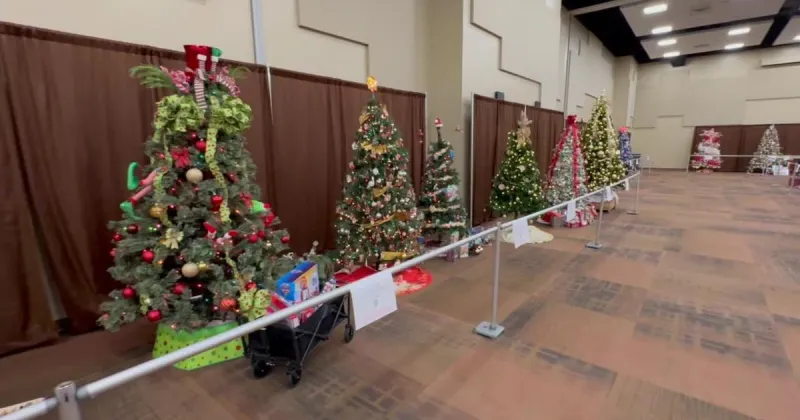 Elko event donations support nonprofits, Festival of Trees applications open
