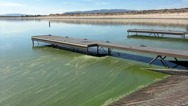Swimming prohibited at Silver Springs Side of Lahontan Reservoir due to algae blooms