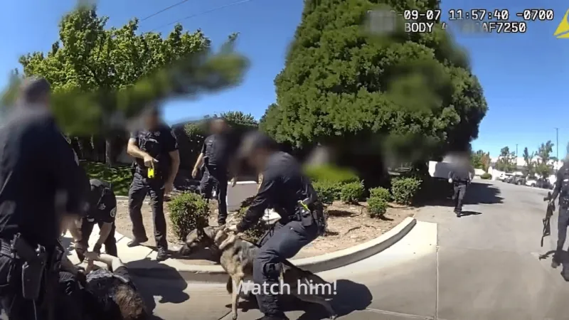 Reno police respond to armed person in mental health crisis on Longley Lane