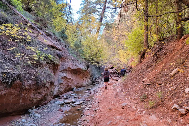 On the trail of fall foliage