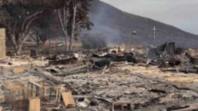 Nevada Bug and Hawk fire survivors can apply for SBA disaster assistance loans