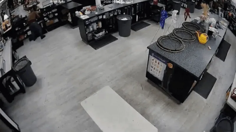DiBella Flowers owner says burglar found empty register, left thousands in damage