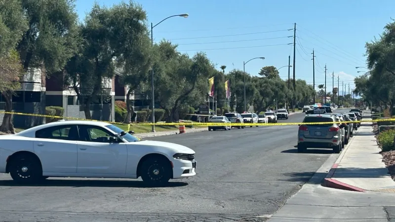 Two dead, 1 critical after shooting near Flamingo, Maryland Parkway