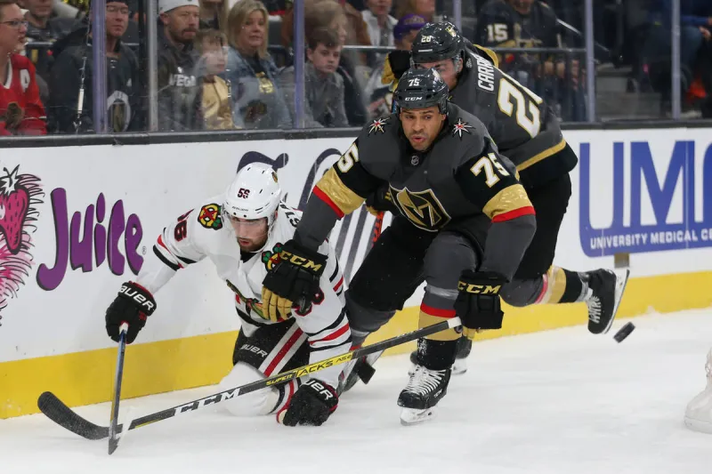 Beloved former Golden Knights enforcer retires from NHL