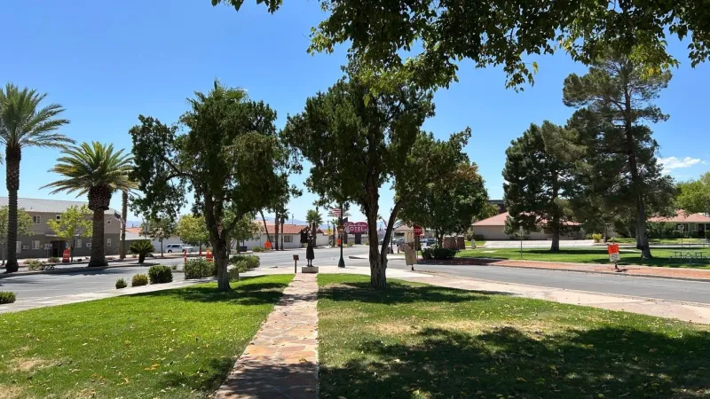 Boulder City urges residents not to release rats, pests into parks