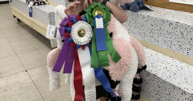 13-year-old crocheter wins second straight Best of Show at Elko County Fair