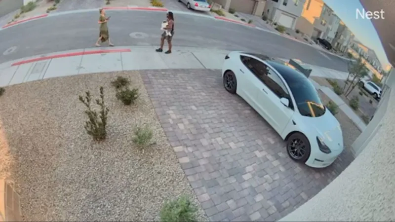 Surveillance footage shows man appearing to take a Las Vegas family's Pomeranian