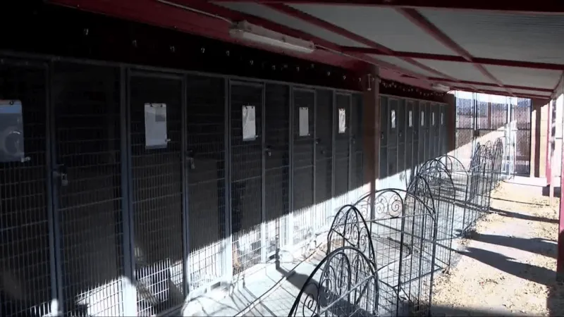 Henderson animal non-profit says thousands in adoption event supplies stolen, seeks help