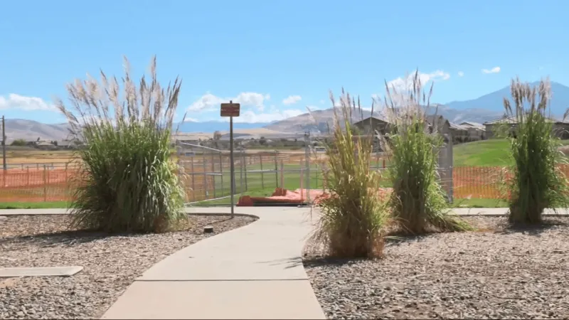VOTE: Are you in favor of building a dog park in Damonte Ranch Park?