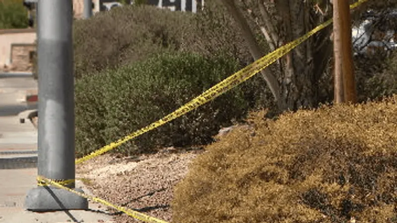 Employees describe taking cover after off-duty Metro corrections officer shot