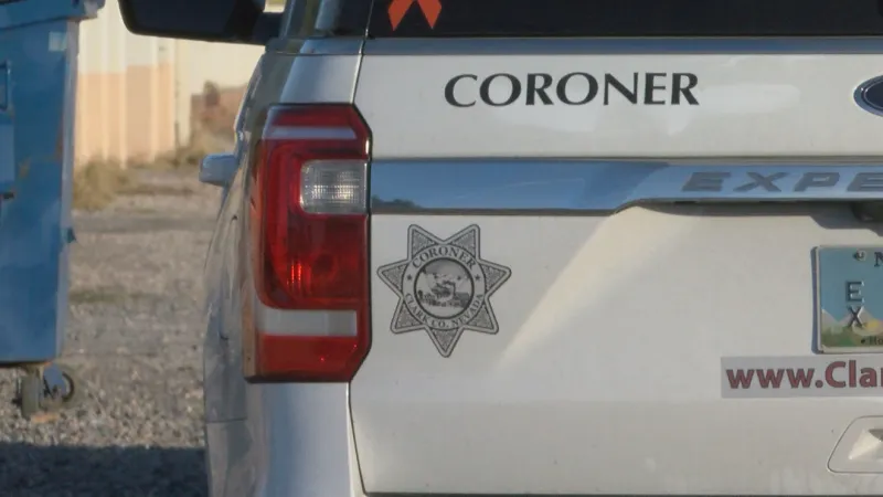 Missing Las Vegas-area person found dead near Alamo, death ruled accidental heat exposure