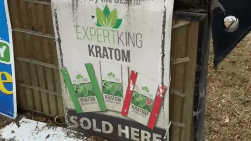 Kratom remains legal in Nevada amid push to ban it, addiction specialist warns