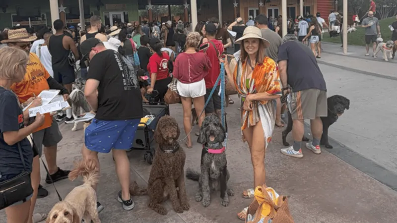 Cowabunga Canyon dog pool party sets world record with 296 dogs at Doodlepalooza