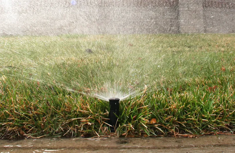 Las Vegas HOAs, businesses soon to be fined if they water 'nonfunctional' grass