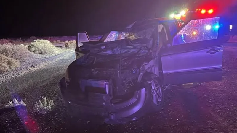 Wild horses on U.S. 95-A trigger late-night crash