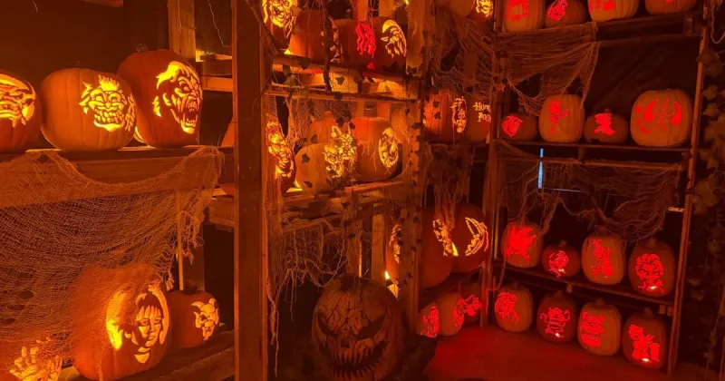 Inside the haunted house experience at Commercial Fun Center