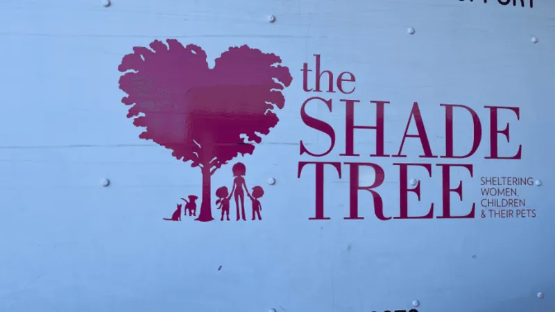 Domestic violence shelters remain strained despite restored bed space at The Shade Tree
