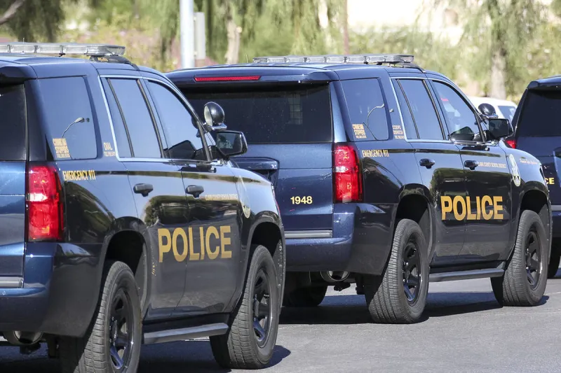 Student in custody after gun found at Henderson high school