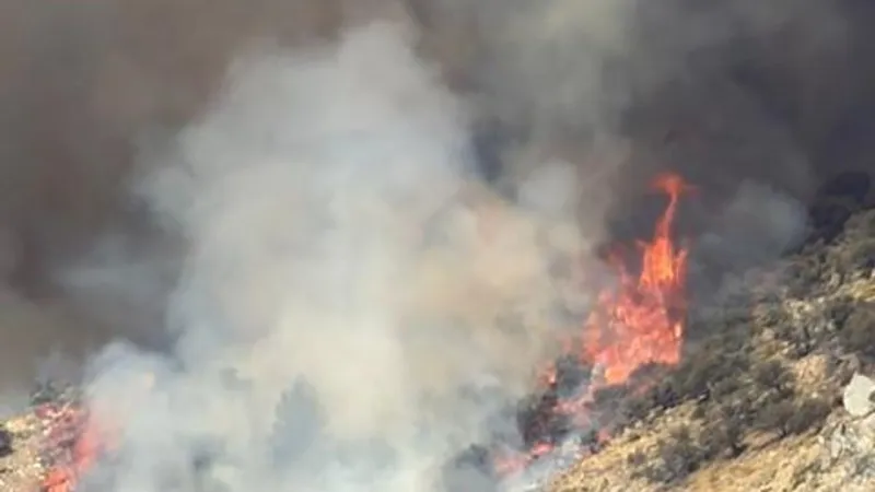 Crews respond to Bull Fire near Peavine Peak in Washoe County
