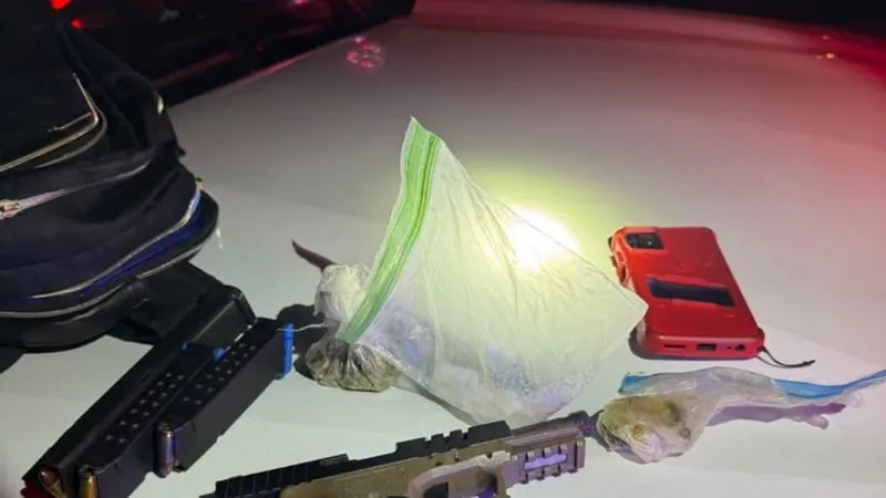Suspect jailed after K9 task force finds stolen vehicle, meth and ghost gun