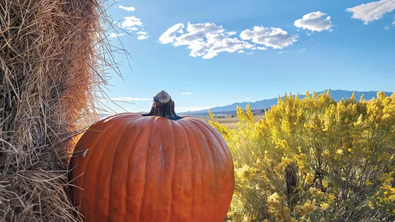 Fall festivities fill October across Lincoln County