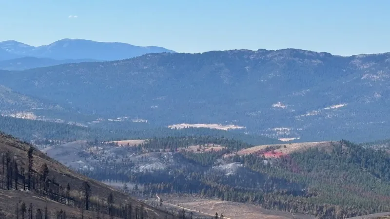 Bull Fire reaches 92% containment as crews shift focus to suppression repairs