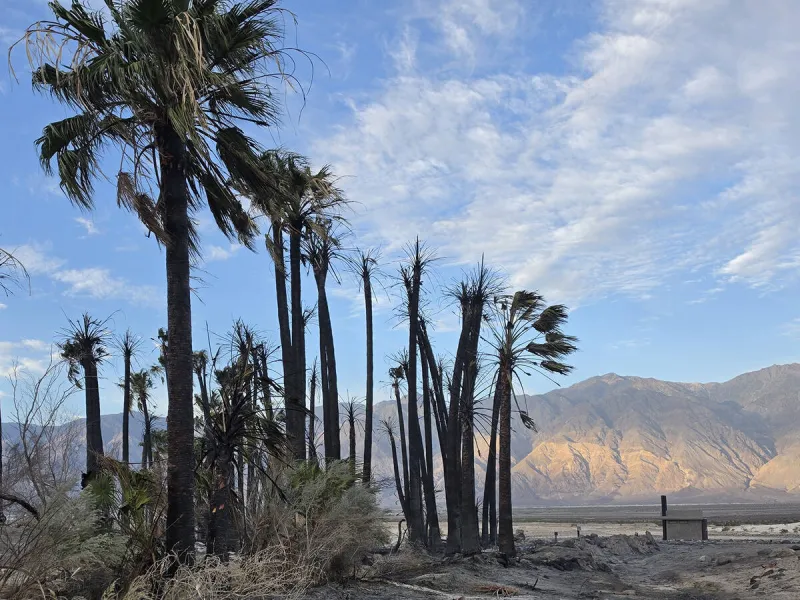 Campground in Death Valley mostly reopens after fire
