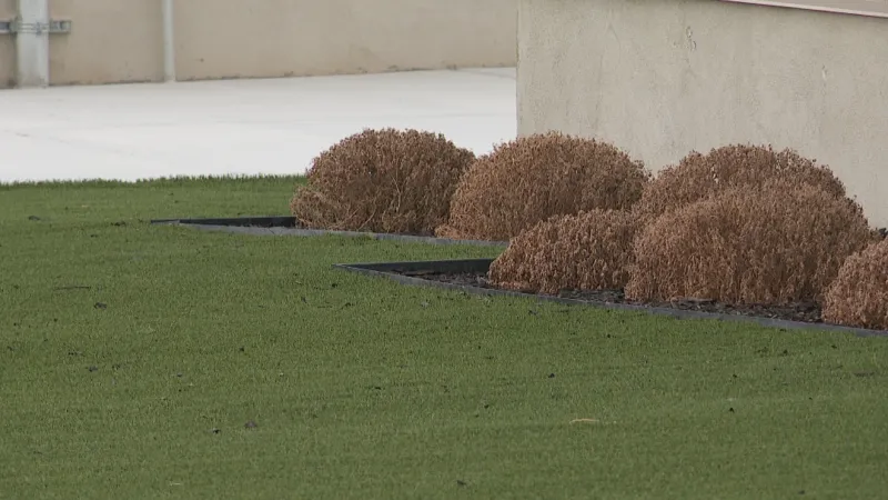 Commissioners hear warning on turf swaps as water conservation debate continues