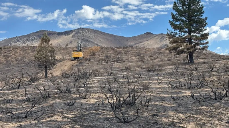 Bull Fire near Peavine Peak reaches 94% containment after burning 1,529 acres