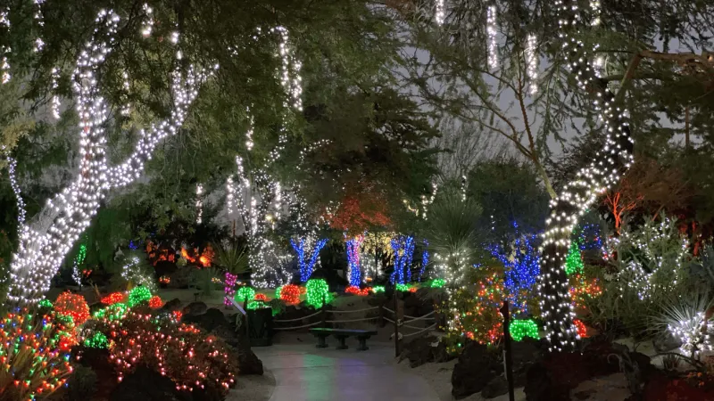 Ethel M Chocolates' Holiday Cactus Garden to return with more than 1 million lights